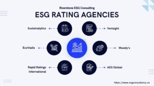 ESG rating agencies